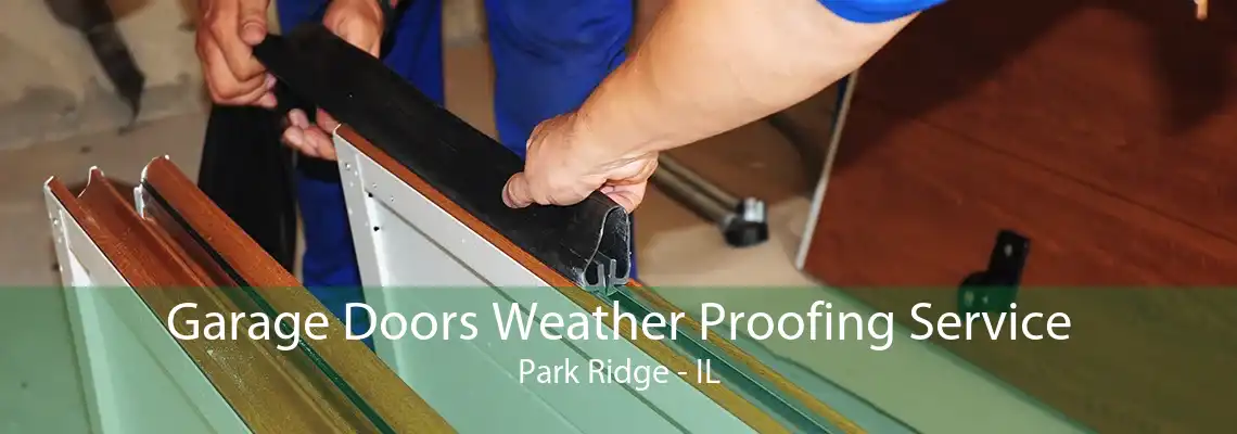 Garage Doors Weather Proofing Service Park Ridge - IL