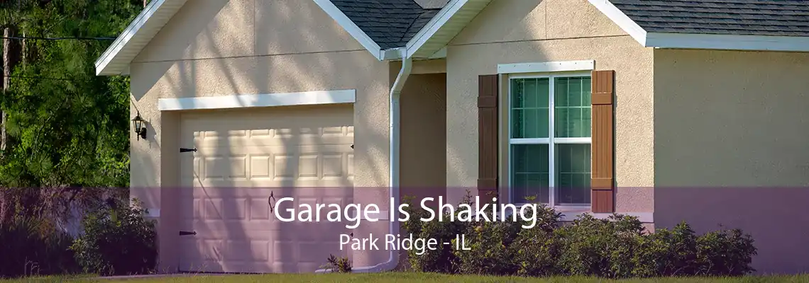 Garage Is Shaking Park Ridge - IL