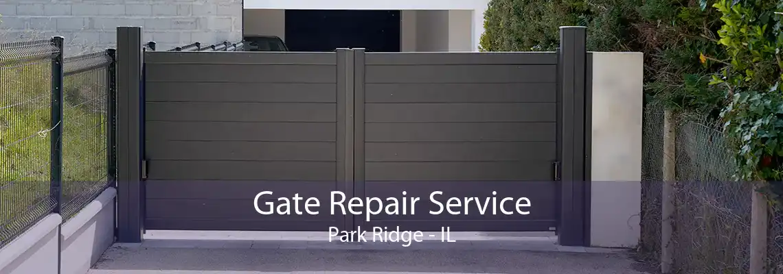 Gate Repair Service Park Ridge - IL