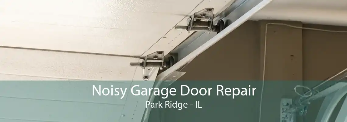 Noisy Garage Door Repair Park Ridge - IL