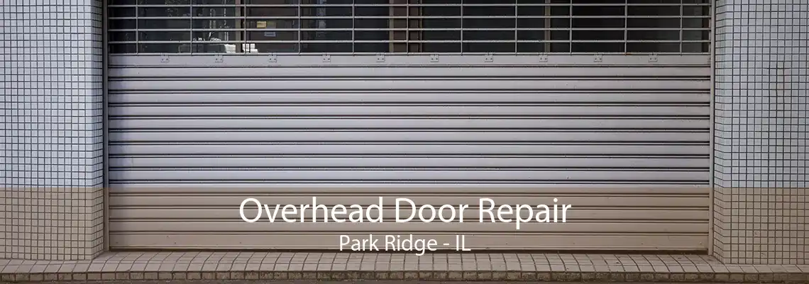 Overhead Door Repair Park Ridge - IL