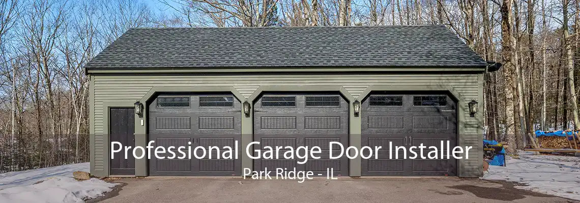 Professional Garage Door Installer Park Ridge - IL