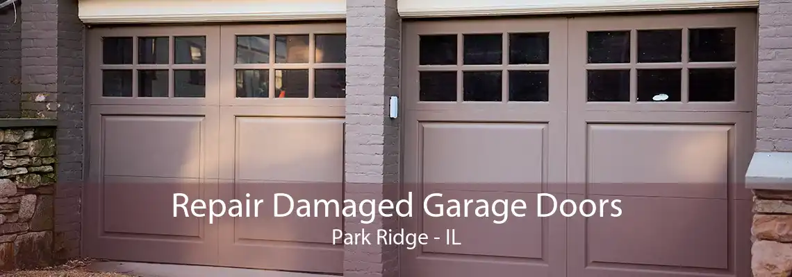 Repair Damaged Garage Doors Park Ridge - IL