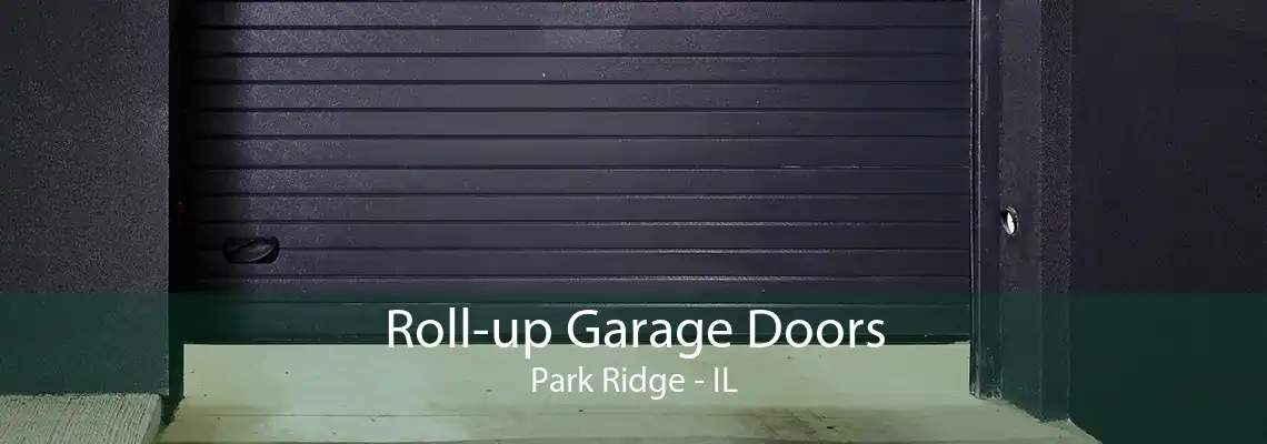 Roll-up Garage Doors Park Ridge - IL