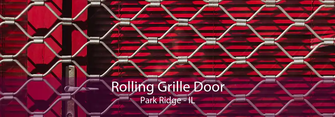 Rolling Grille Door Park Ridge - IL