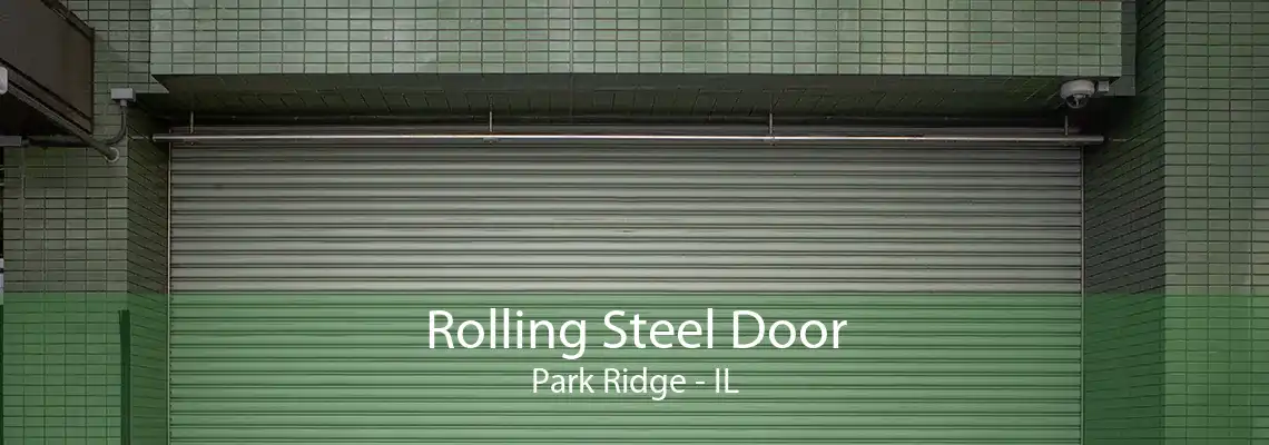 Rolling Steel Door Park Ridge - IL