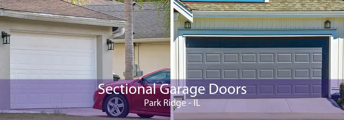 Sectional Garage Doors Park Ridge - IL