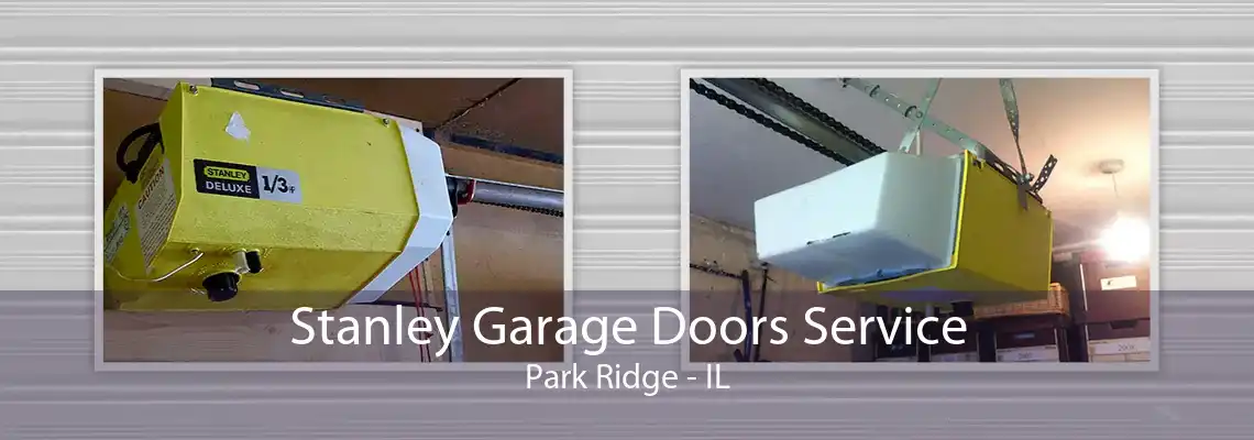 Stanley Garage Doors Service Park Ridge - IL