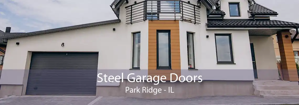 Steel Garage Doors Park Ridge - IL