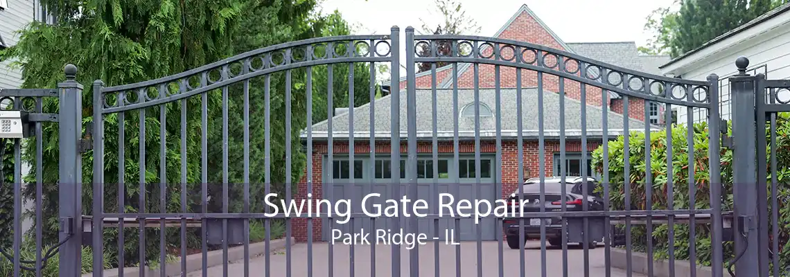 Swing Gate Repair Park Ridge - IL